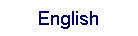 Text Box: English