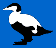 Eider