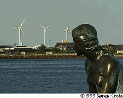 Mermaid looking at wind turbines