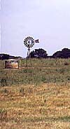 Water pumping wind turbine
